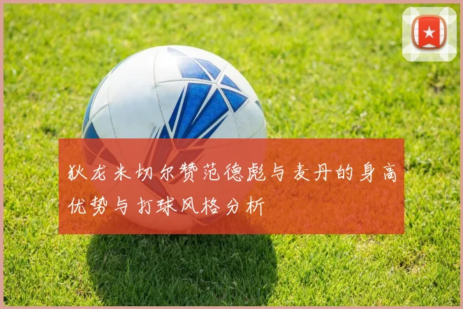 狄龙米切尔赞范德彪与麦丹的身高优势与打球风格分析
